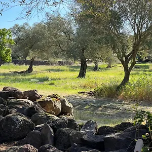 Holiday home Muristene Pozzo Santa Cristina Paulilatino